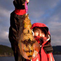 渡船屋たにぐち 釣果