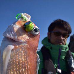 渡船屋たにぐち 釣果