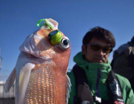 渡船屋たにぐち 釣果