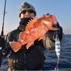 渡船屋たにぐち 釣果