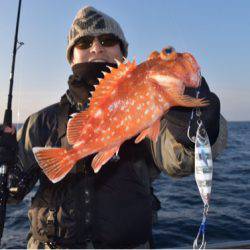 渡船屋たにぐち 釣果