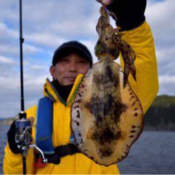 渡船屋たにぐち 釣果