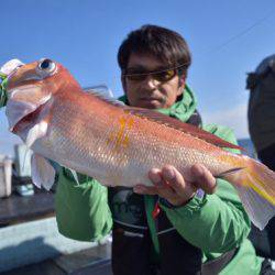 渡船屋たにぐち 釣果