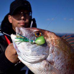渡船屋たにぐち 釣果