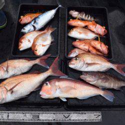 渡船屋たにぐち 釣果