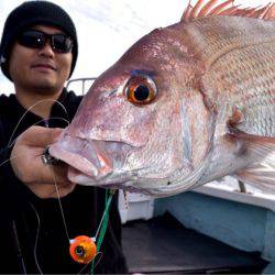 渡船屋たにぐち 釣果
