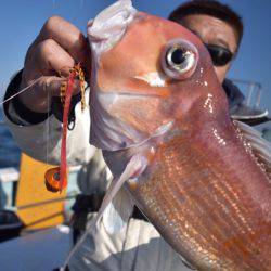 渡船屋たにぐち 釣果