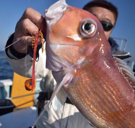 渡船屋たにぐち 釣果