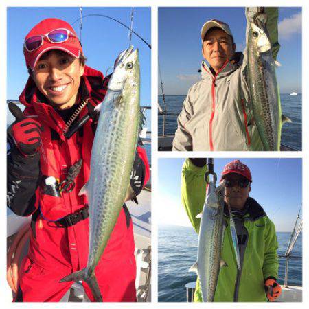 ビッグファイター 釣果