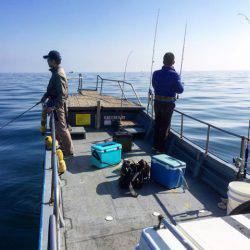 第二 海洋丸 釣果