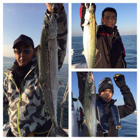 ビッグファイター 釣果