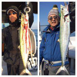 ビッグファイター 釣果