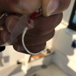 龍神丸(鹿児島) 釣果