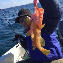 「LaGooN」蒼陽丸 日和号 釣果