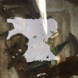 「LaGooN」蒼陽丸 日和号　 釣果