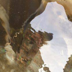 「LaGooN」蒼陽丸 日和号 釣果