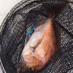 龍神丸(鹿児島) 釣果