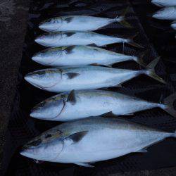 まるいち丸 ZERO-1 釣果