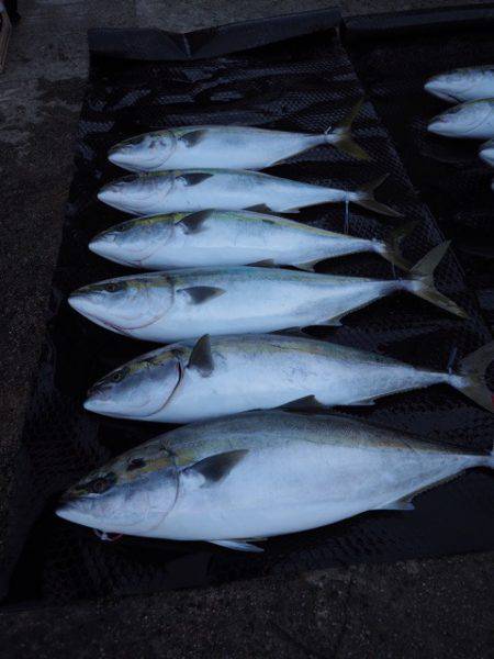 まるいち丸 ZERO-1 釣果