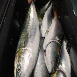 第二八坂丸 釣果