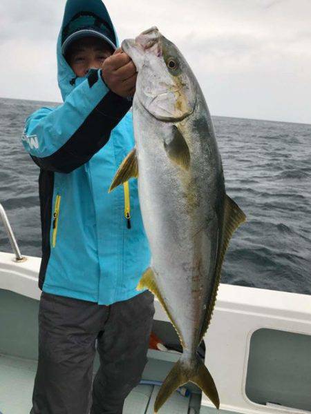 アマテラス 釣果