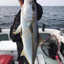 アマテラス 釣果