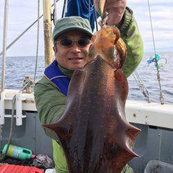 エヌスタイル 釣果