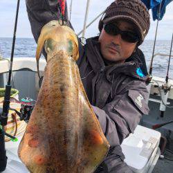 エヌスタイル 釣果