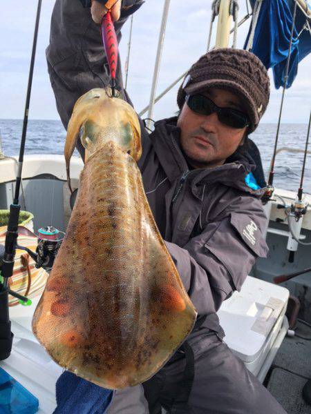 エヌスタイル 釣果