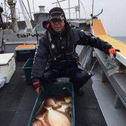 シーランチ 釣果