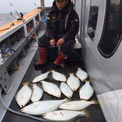 シーランチ 釣果