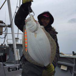 シーランチ 釣果