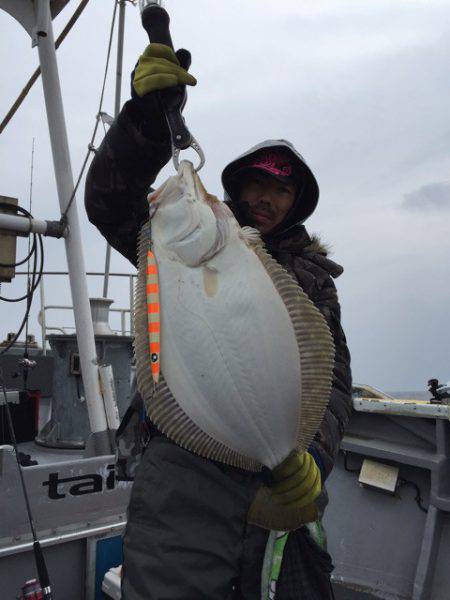 シーランチ 釣果