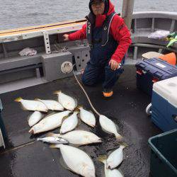 シーランチ 釣果