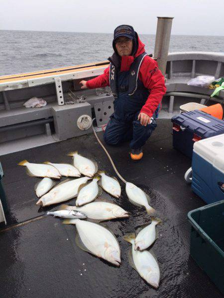 シーランチ 釣果