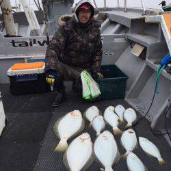 シーランチ 釣果