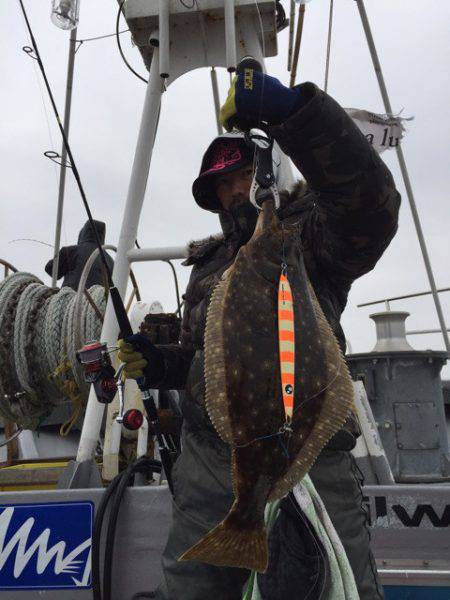 シーランチ 釣果