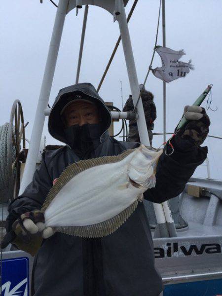 シーランチ 釣果