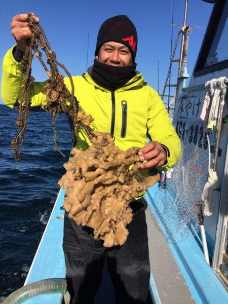 みやけ丸 釣果
