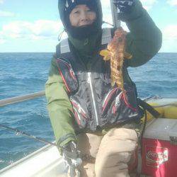 海季丸(みきまる) 釣果