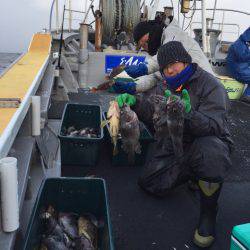 シーランチ 釣果