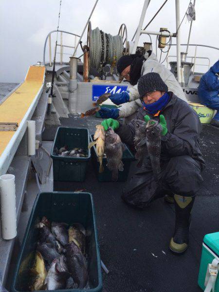 シーランチ 釣果