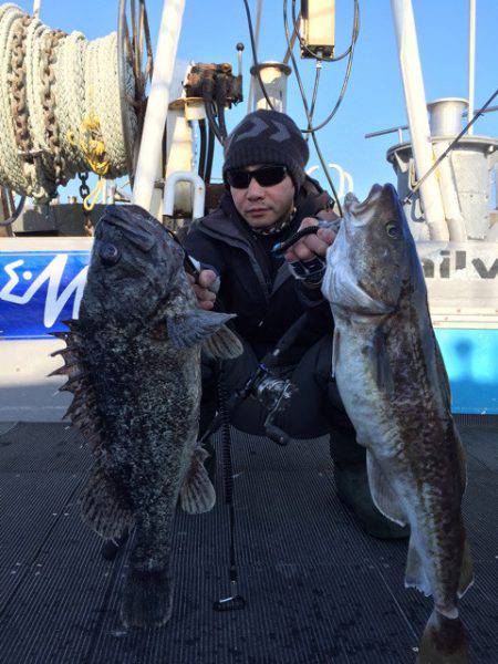シーランチ 釣果