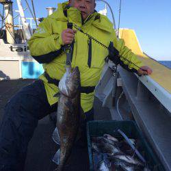 シーランチ 釣果