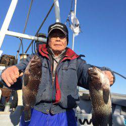 シーランチ 釣果