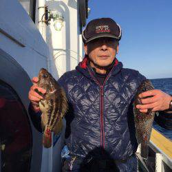 シーランチ 釣果