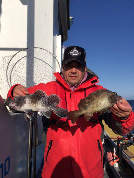 シーランチ 釣果