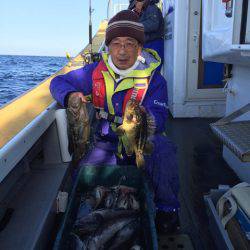 シーランチ 釣果