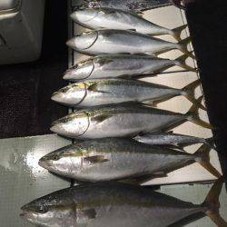 エムズジャーク（M’s JERK） 釣果