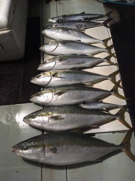 エムズジャーク（M’s JERK） 釣果